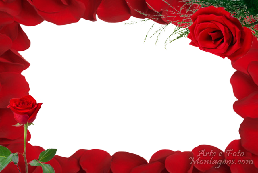 Amor - Rosas Vermelhas