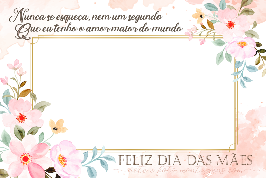 Comemorativas - Dia Das Maes Nunca Se Esqueca