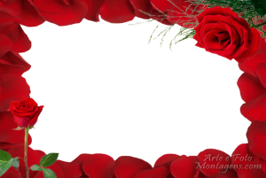 Moldura Amor - Rosas Vermelhas Moldura Amor - Rosas Vermelhas