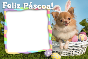 Moldura Comemorativa - Páscoa Cãozinho Moldura Comemorativa - Páscoa Cãozinho