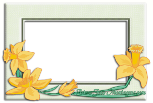 Moldura Diversas - Flores Amarelas Quadro Moldura Diversas - Flores Amarelas Quadro